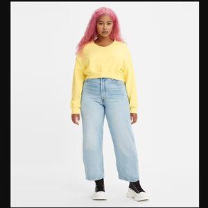 Levi's Premium Ribcage Straight Ankle Jeans in Bernal Middle Road 27x27